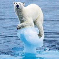 Controversies - Species Extinction and Extreme Weather Predicted in New Climate  Change Studies - AllGov - News