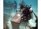 Underwater Cabinet Meeting in Maldives                                                              